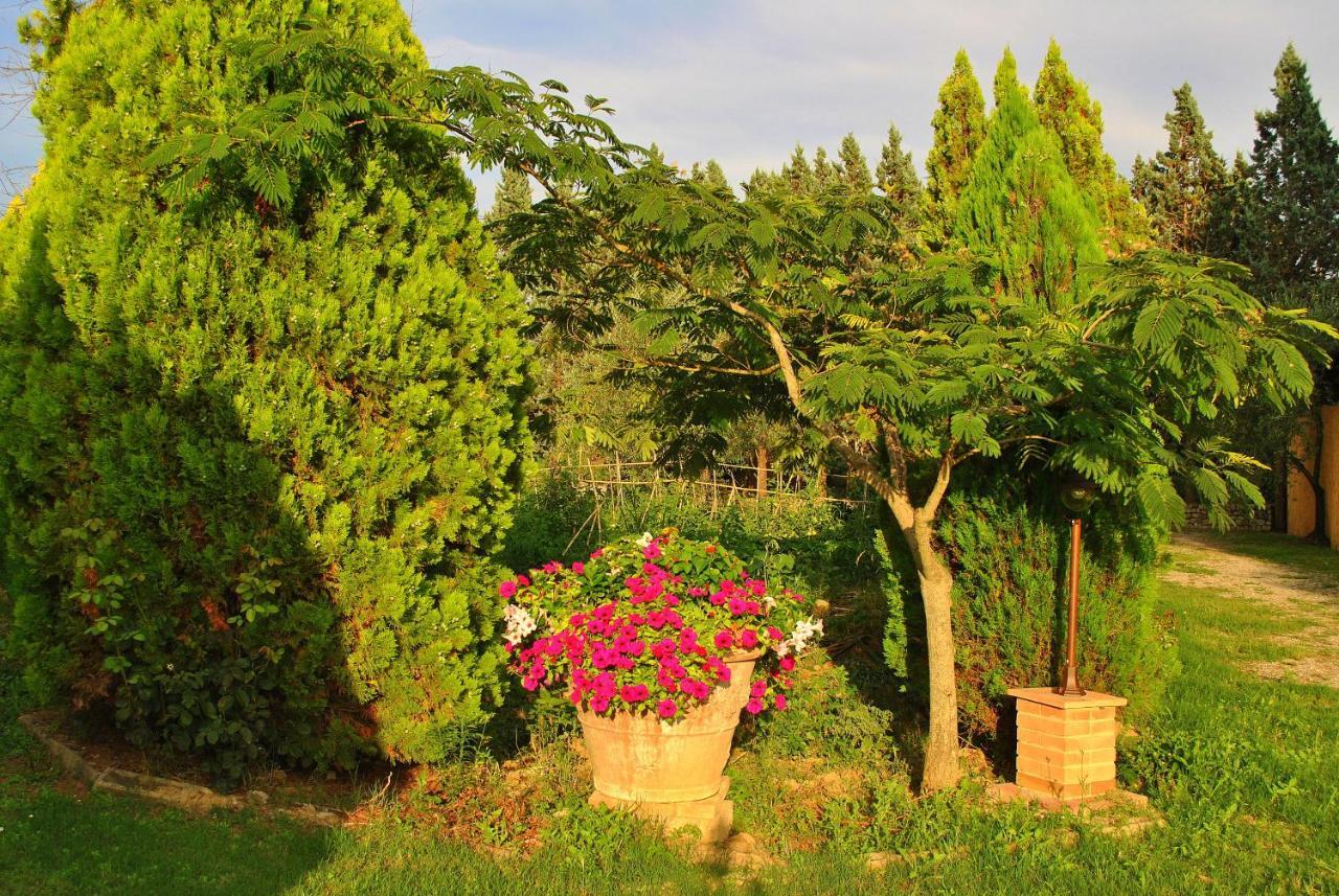Agriturismo La Nicchia Castelnuovo Berardenga Eksteriør bilde